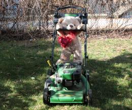 Teddette trying to help with the lawn