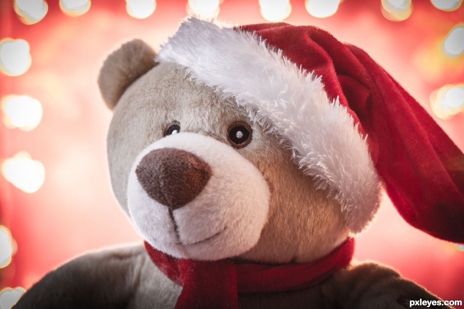 A teddy for Christmas