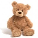 teddy bears 3 photography contest