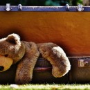 teddybear photoshop contest