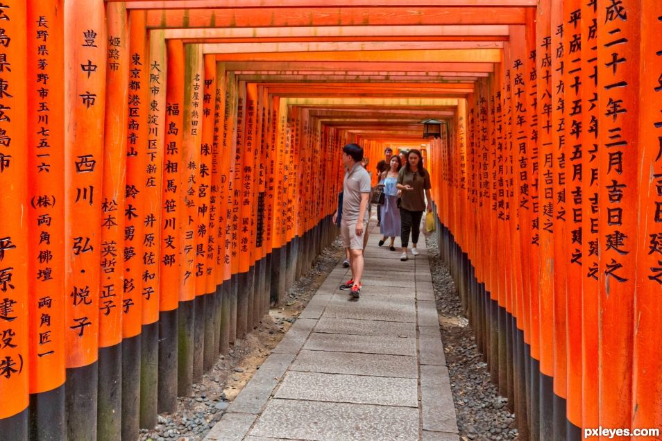 Torii gates