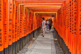 Torii gates