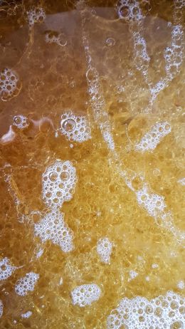 Oil and dishwashing liquid