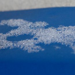 TextureoftheFrost