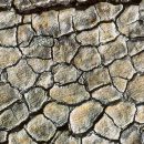 texture photography contest