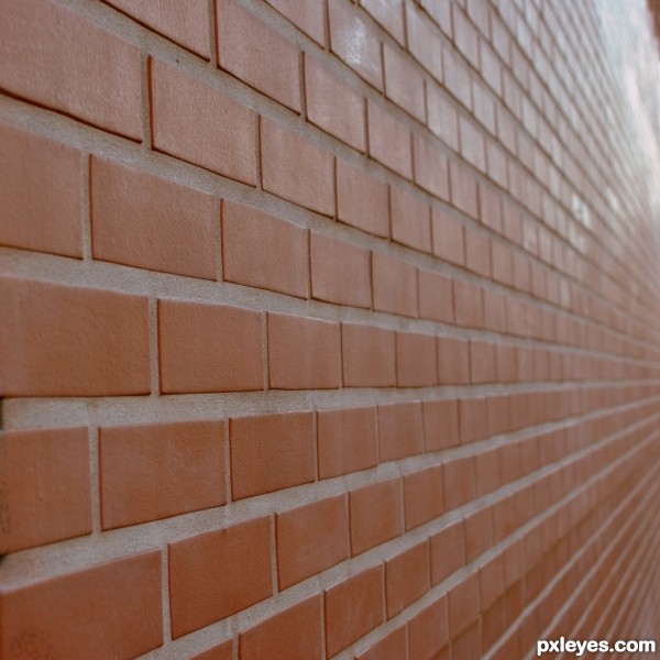 wall