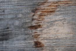 Wood Stain