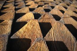 Wood Roof