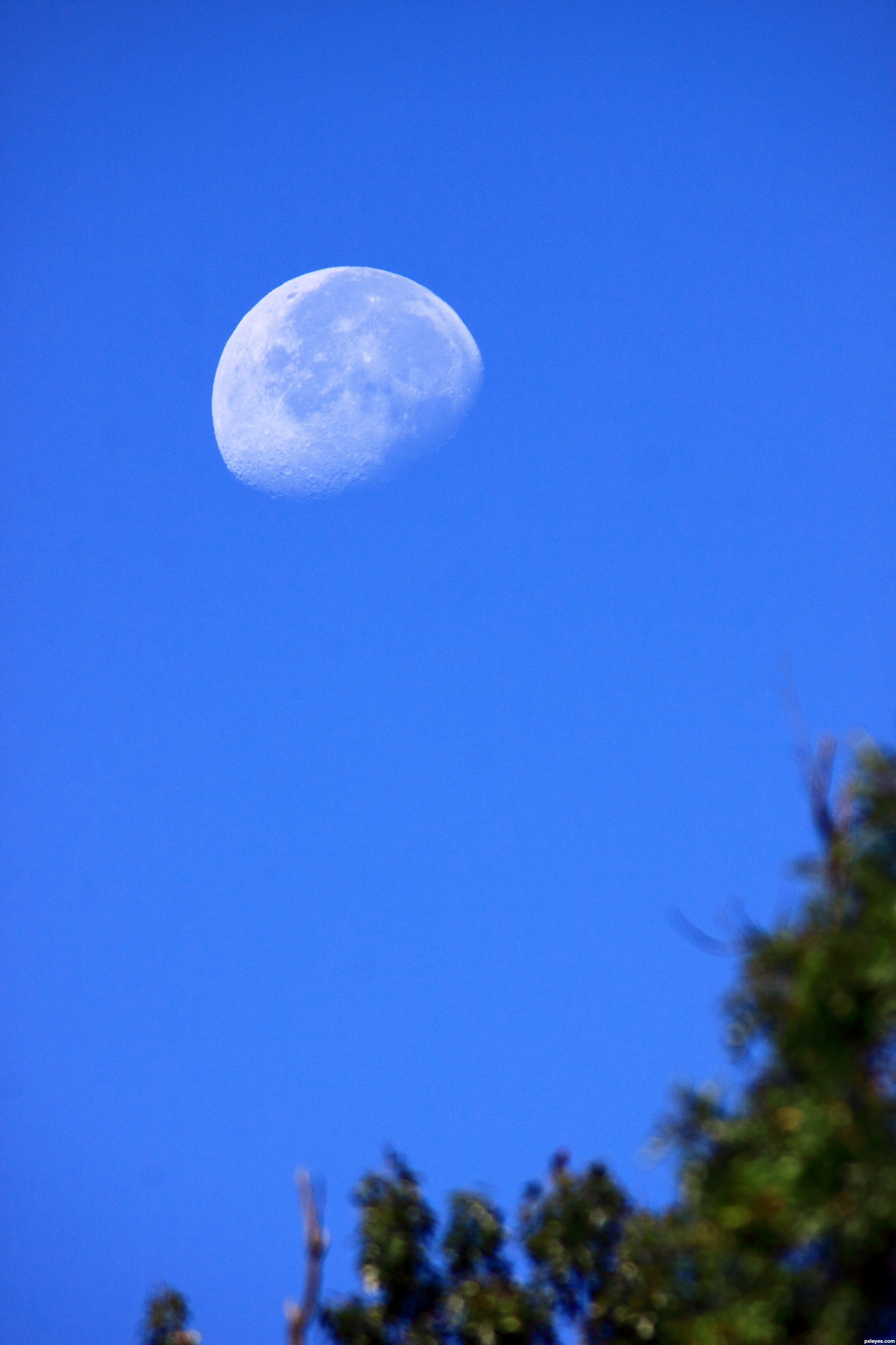 luna luna