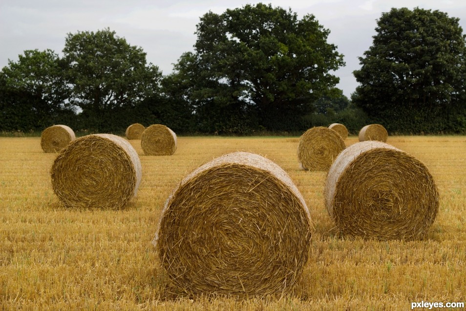 Creation of Bales: Final Result