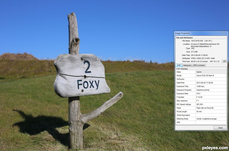 Creation of I'm Too Foxy For You!: Step 1
