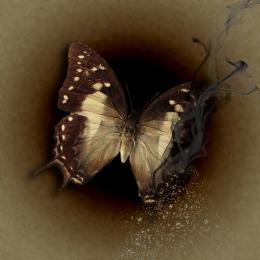 Simple butterfly