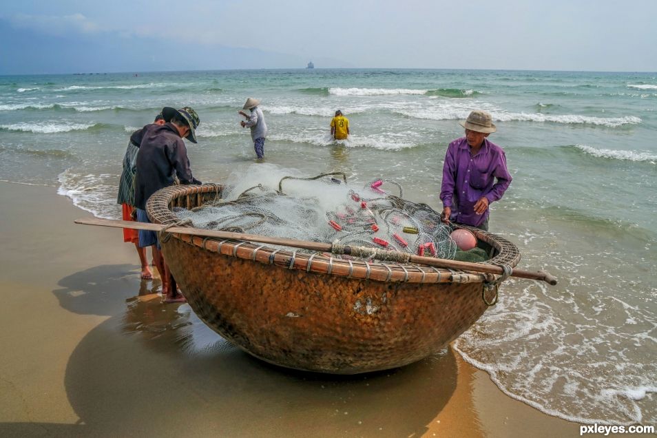 Bringing in the nets