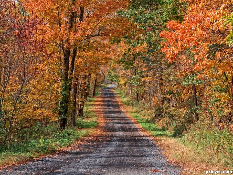 Country Road