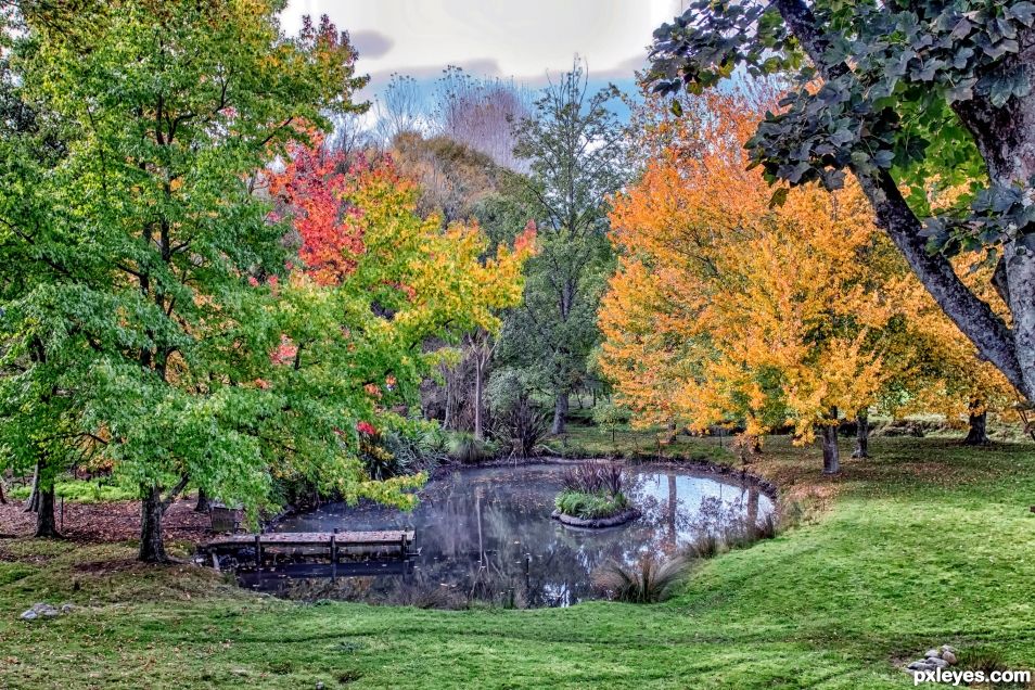 The colours make a dull day glow.