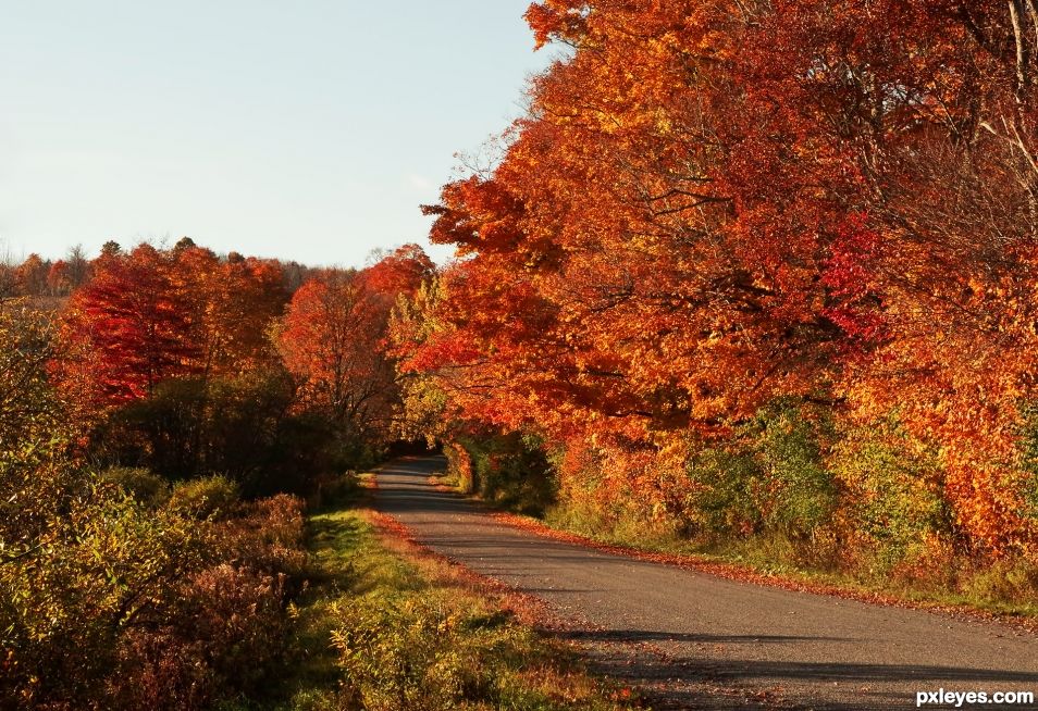 Country Road