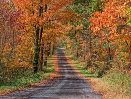 Country Road