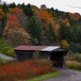 CoveredBridge