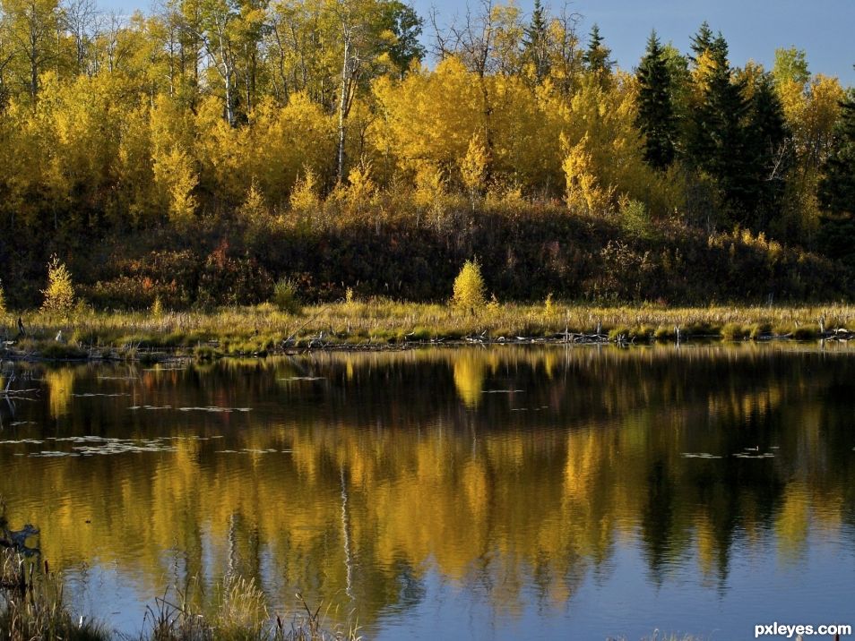 Autumn Reflections