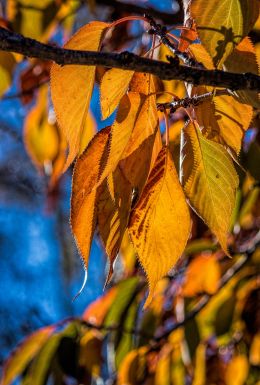 Sunny autumn day