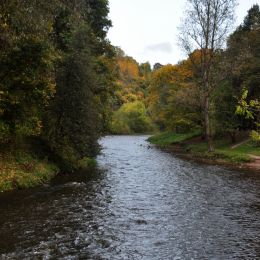 autumn in Vilnius Picture