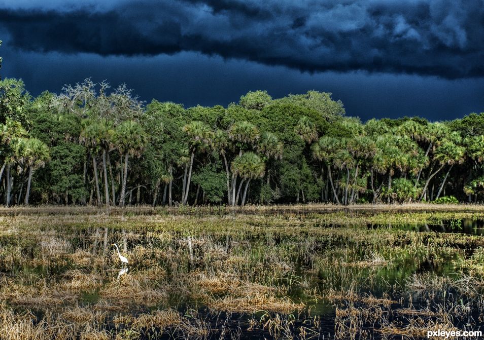 Summer Storm