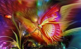 Fantasy Butterfly Picture