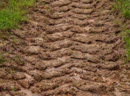 Soil