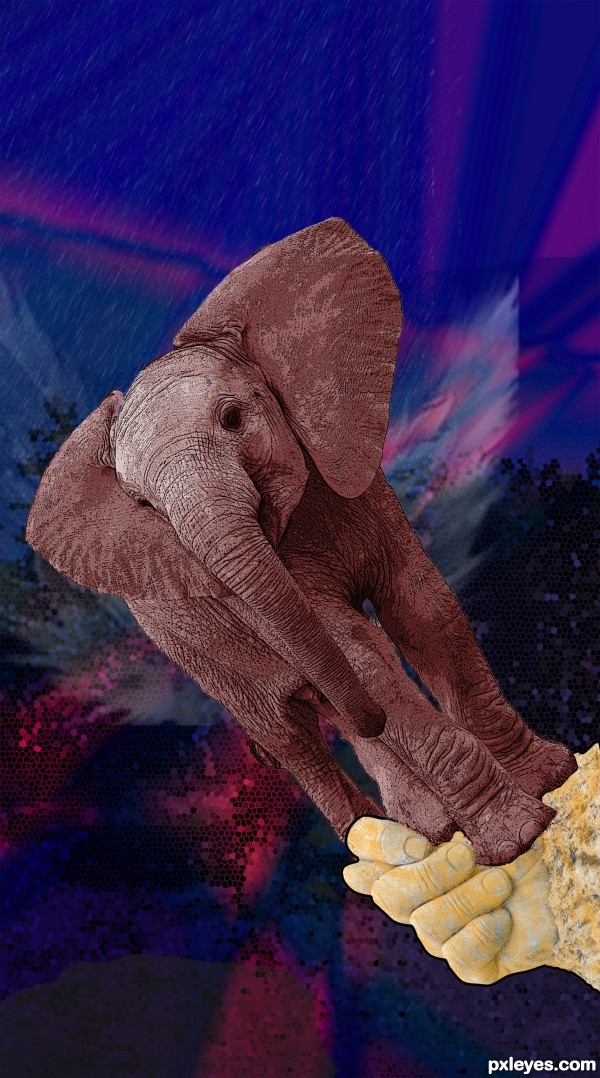 elephant