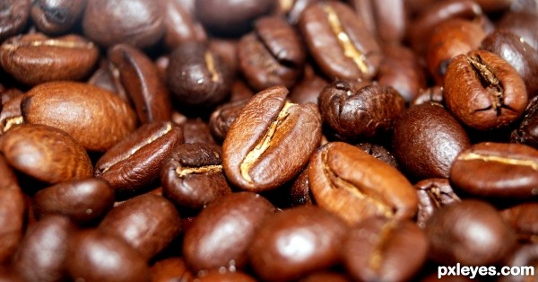 C 4 Coffee Beans