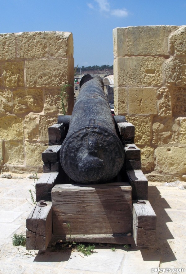 cannon