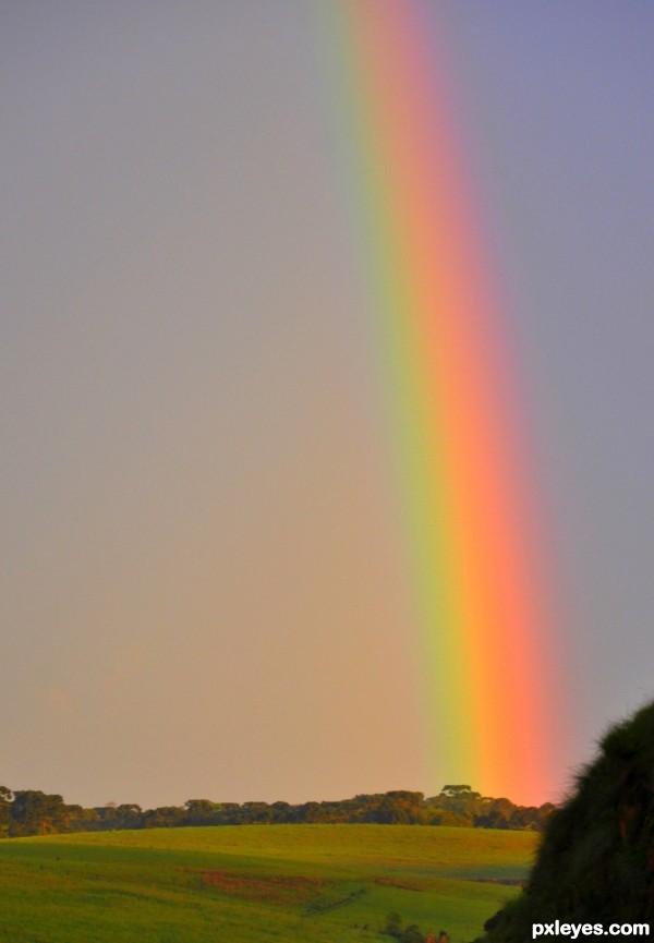 Rainbow