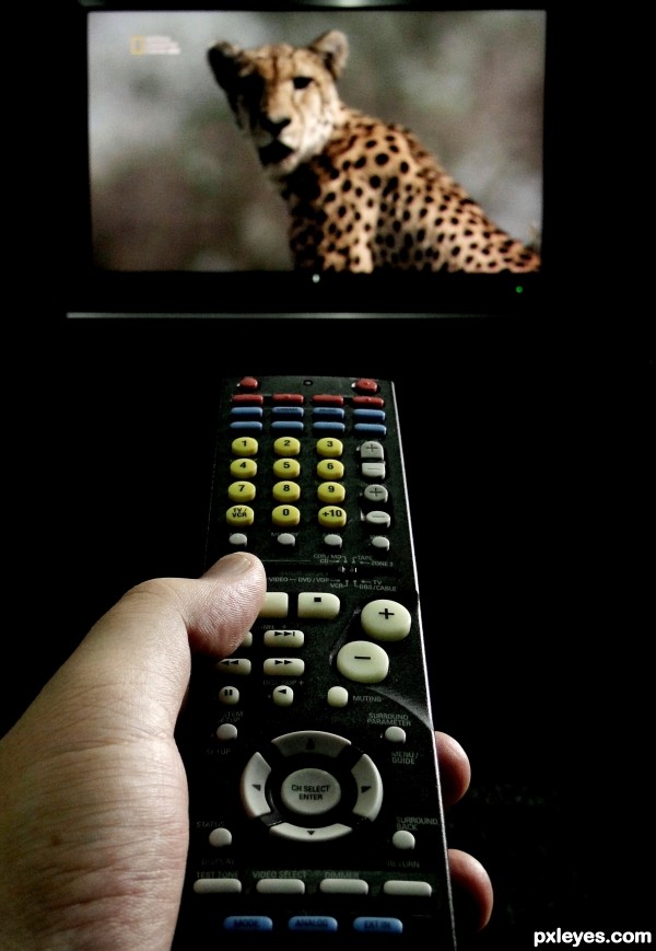 Remote Control