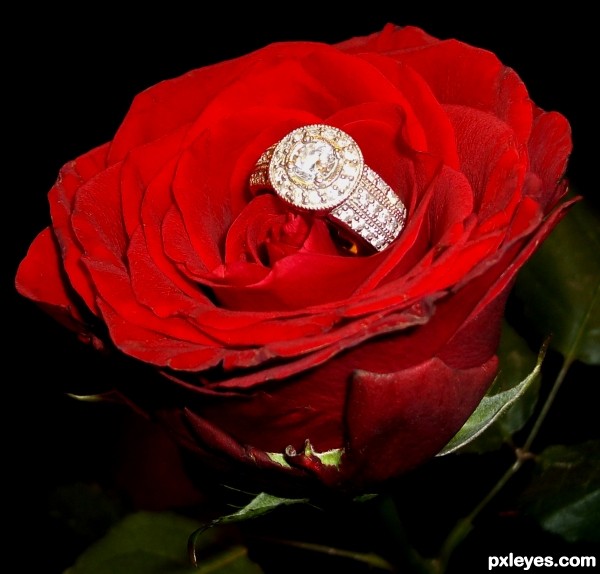 Ring Rose Red