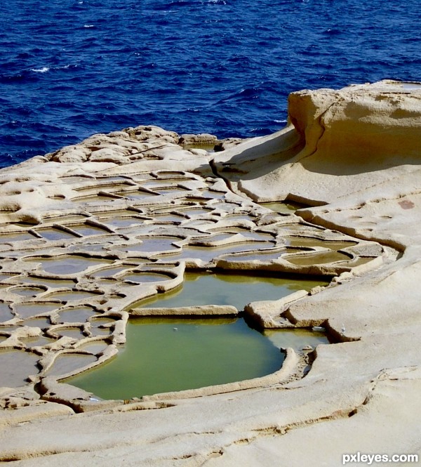 rockpools