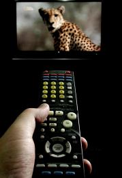 Remote Control