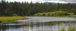 River Landscape