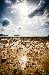 rocky beach