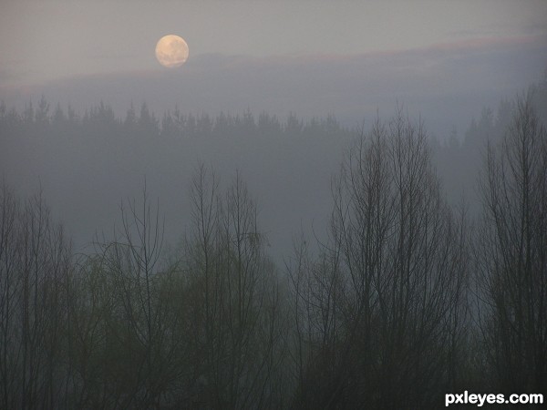 Misty moon