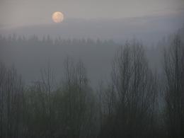 Misty moon