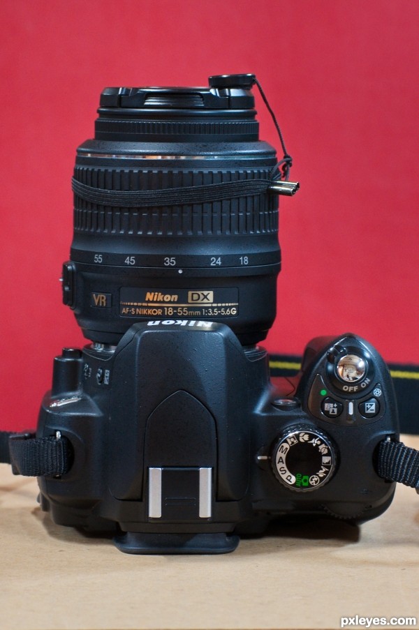 Nikon D60