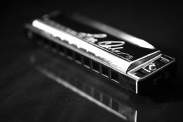 Mr. Harmonicas instrument