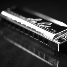 MrHarmonicasinstrument