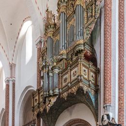 Organ