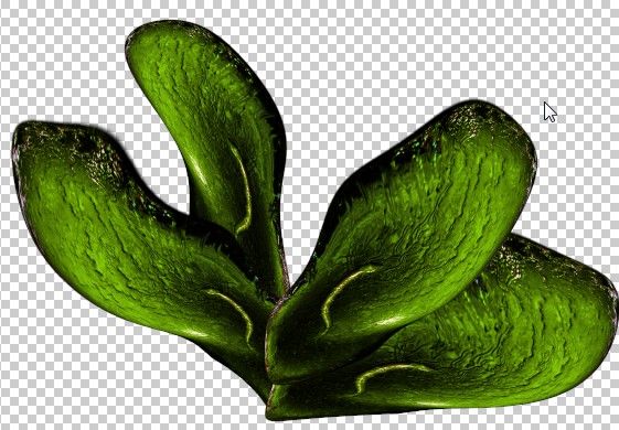 Creation of Smiling Butterfly: Step 12