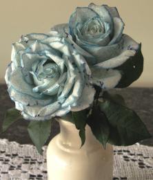 Blue roses