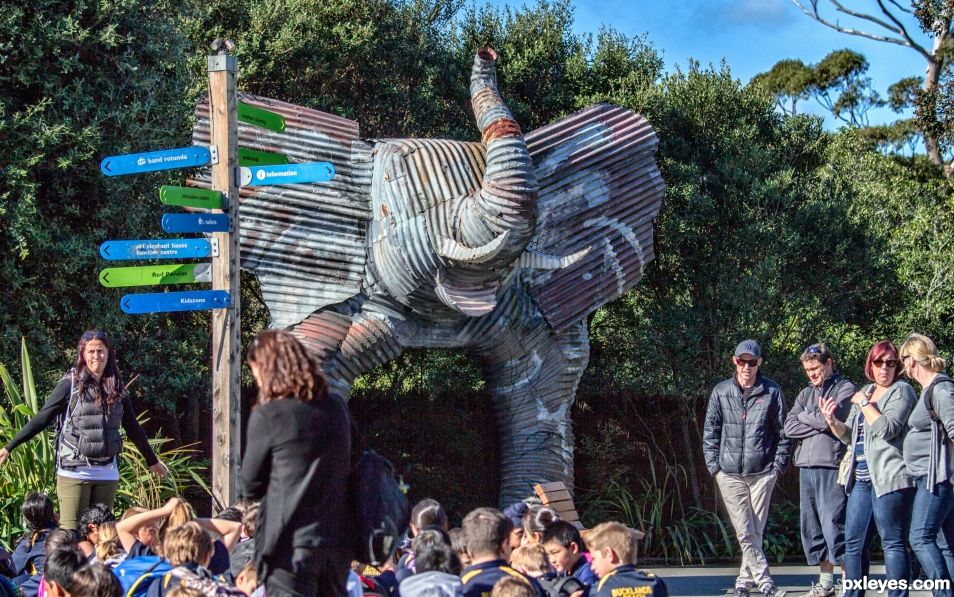 Kids and parents at the zoo