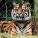 the zoo photography contest