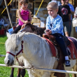 PonyRide