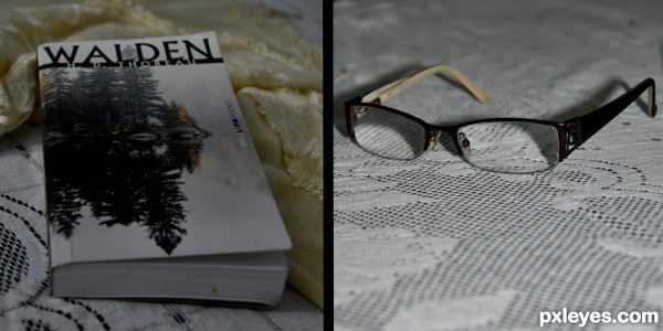 Book & Glasses